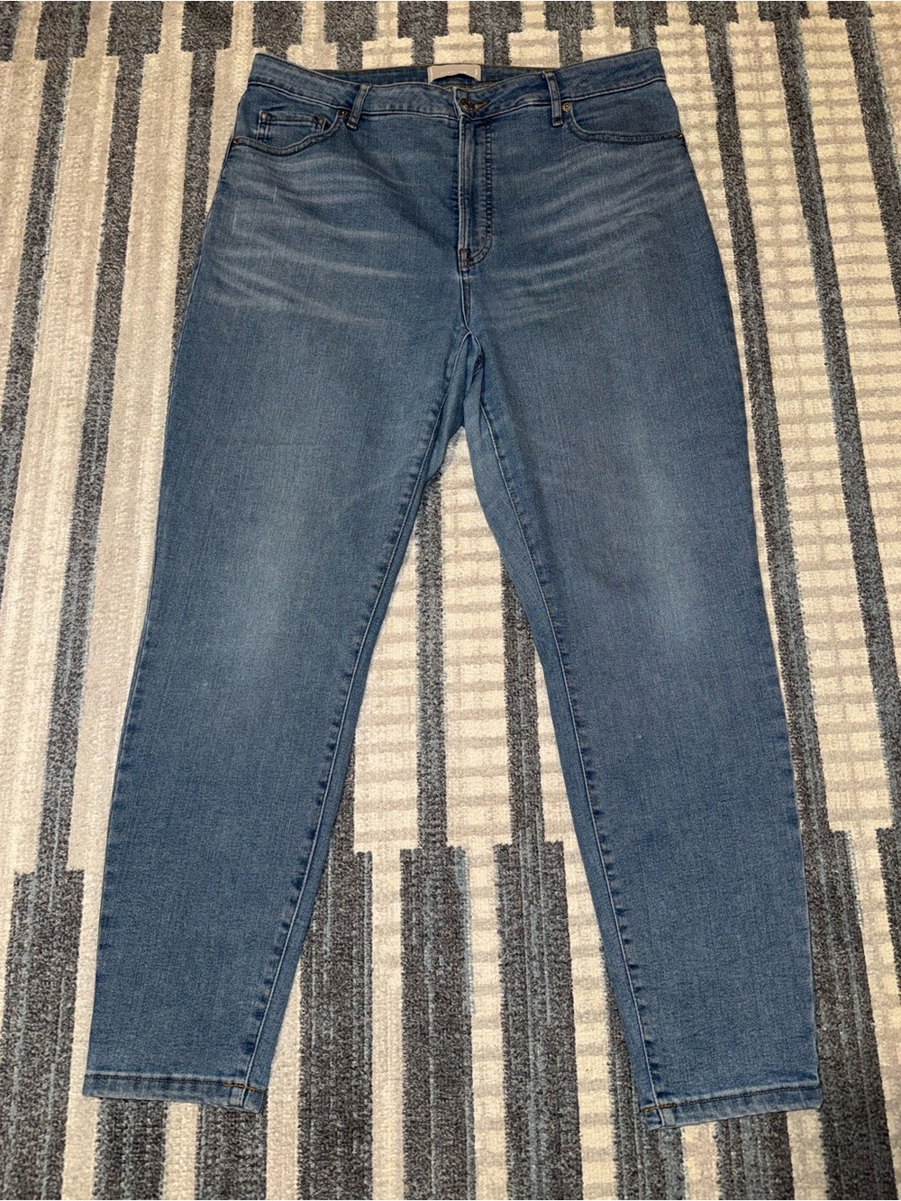 Everlane Women’s Mid-Blue Curvy High-Rise Skinny Jean 34 Regular 5 Pocket